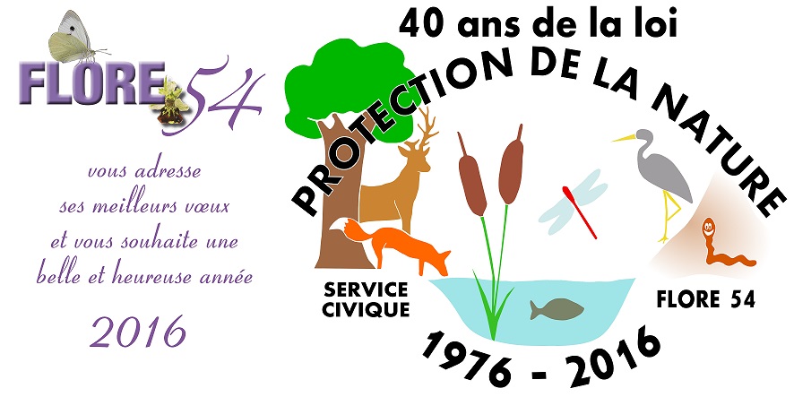 FLORE 54 2016