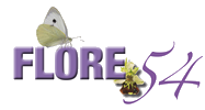 flore54 0